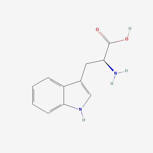 Szkielet 2D L-Tryptofan, CAS 73-22-3, wzór C11H12N2O2